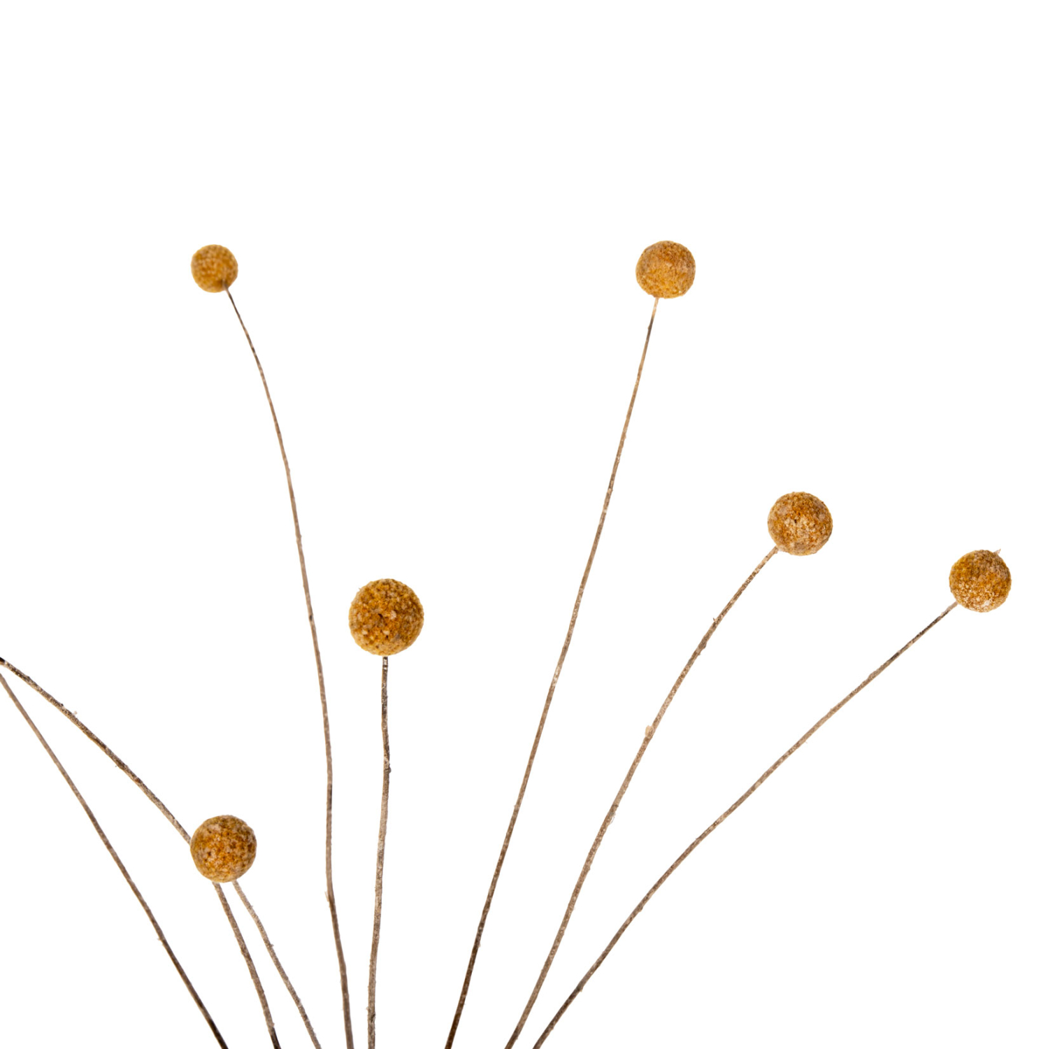 diakosmitiko-apoxirameno-mpoyketo-craspe-2