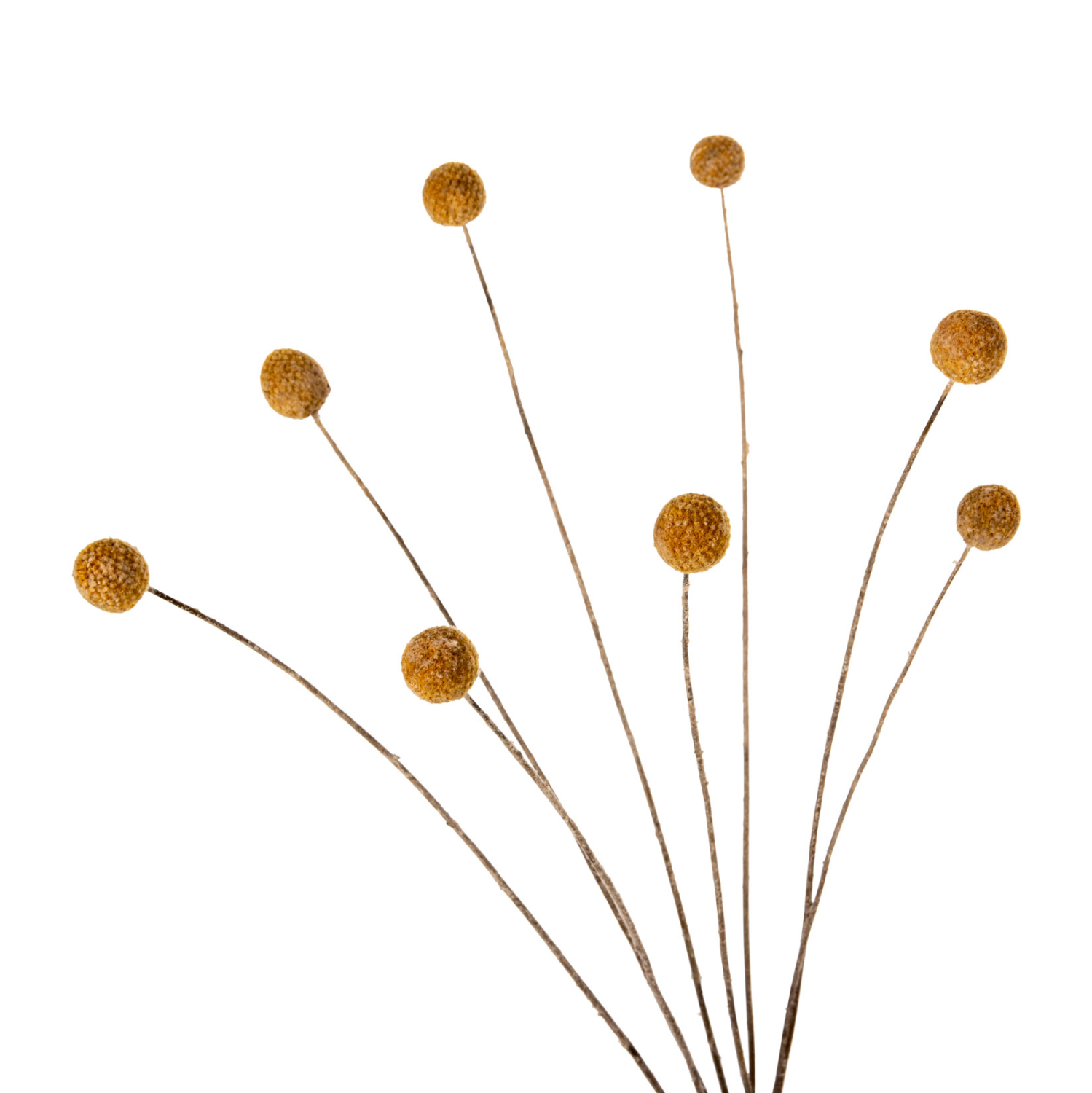 diakosmitiko-apoxirameno-mpoyketo-craspe-3