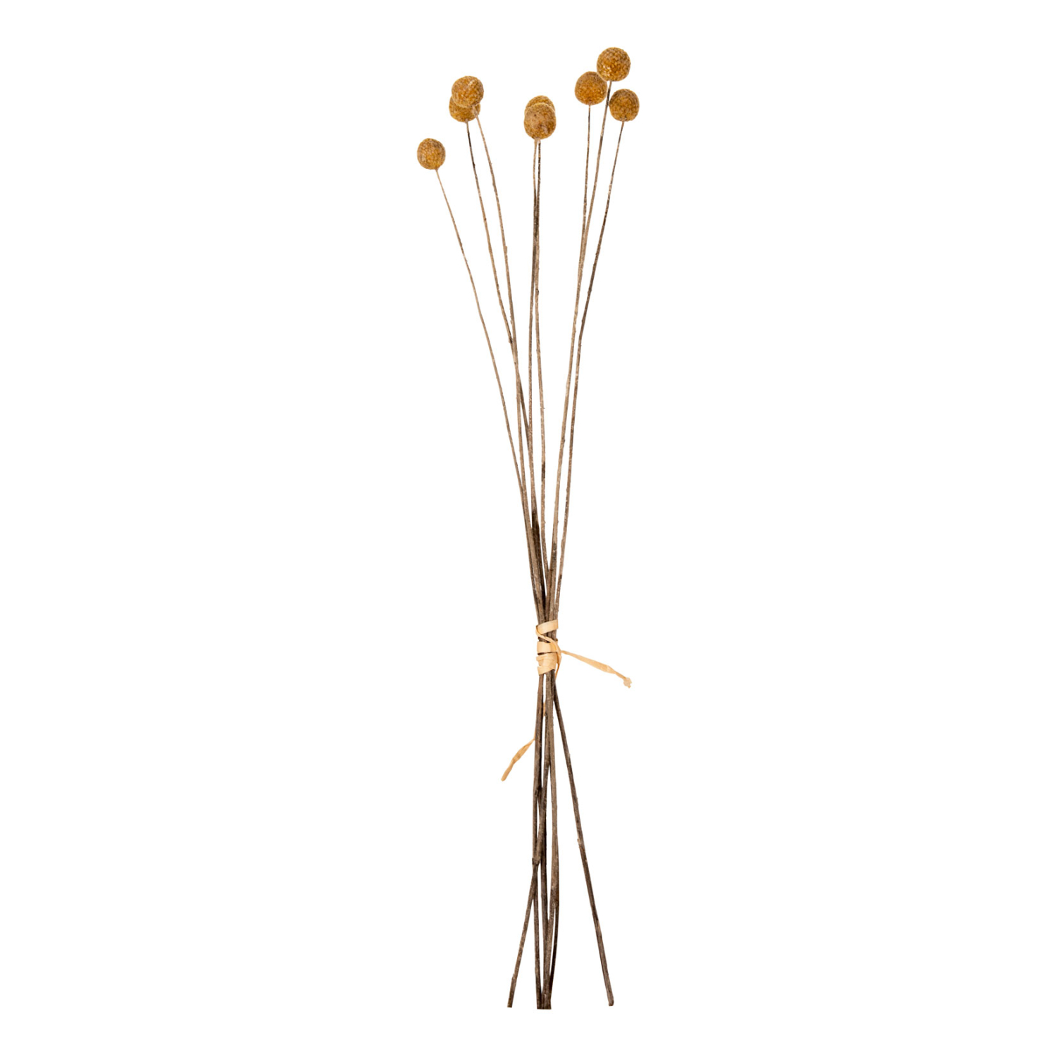 diakosmitiko-apoxirameno-mpoyketo-craspe