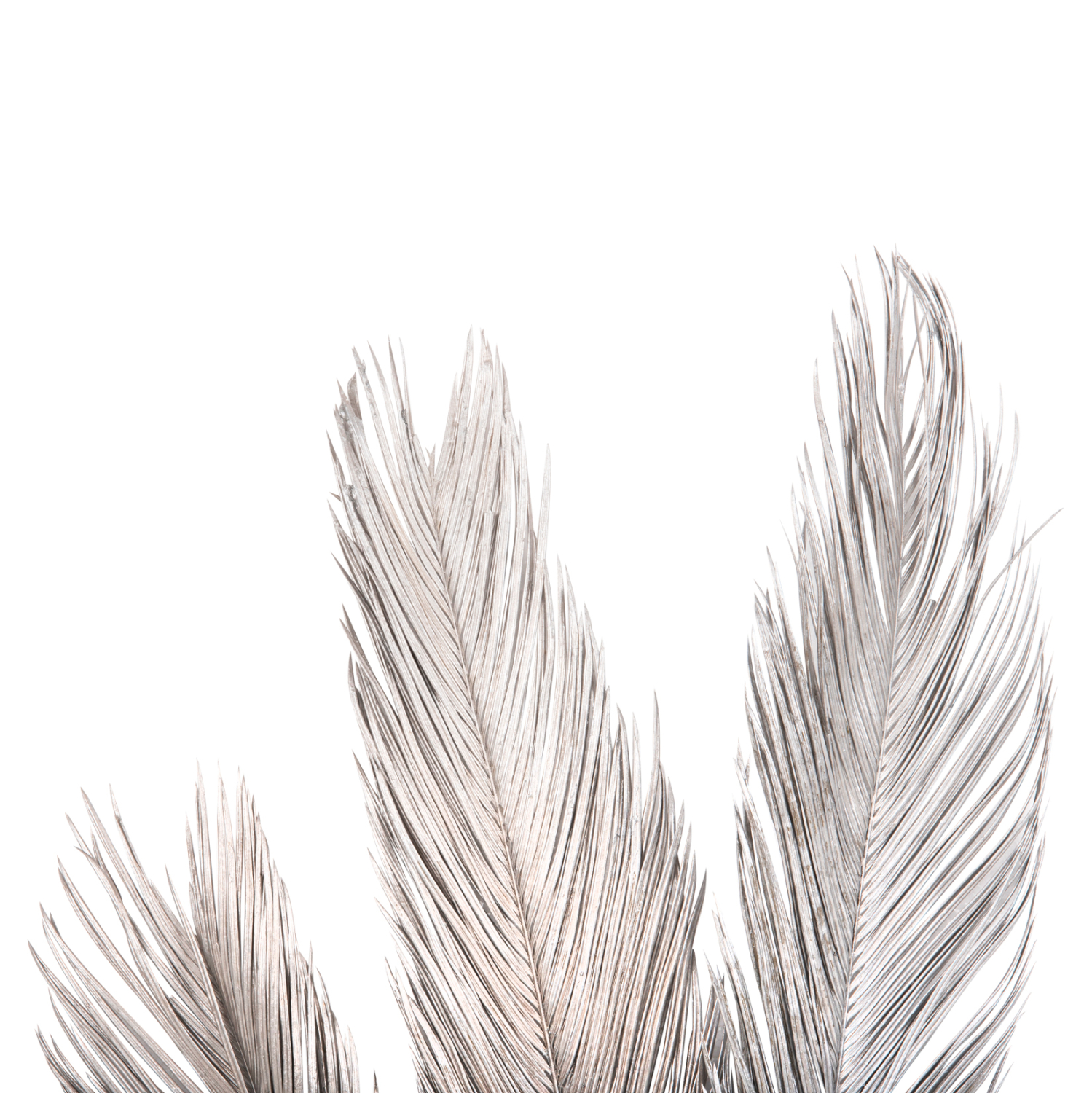 diakosmitiko-apoxirameno-set-3-fyllon-fo-4