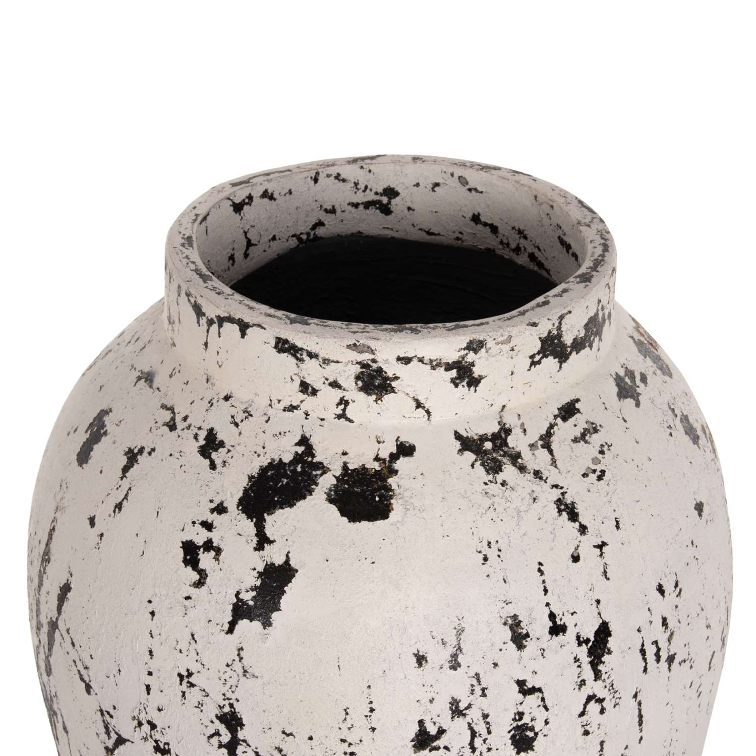 diakosmitiko-bazo-dapedoy-me-basi-piatak-4