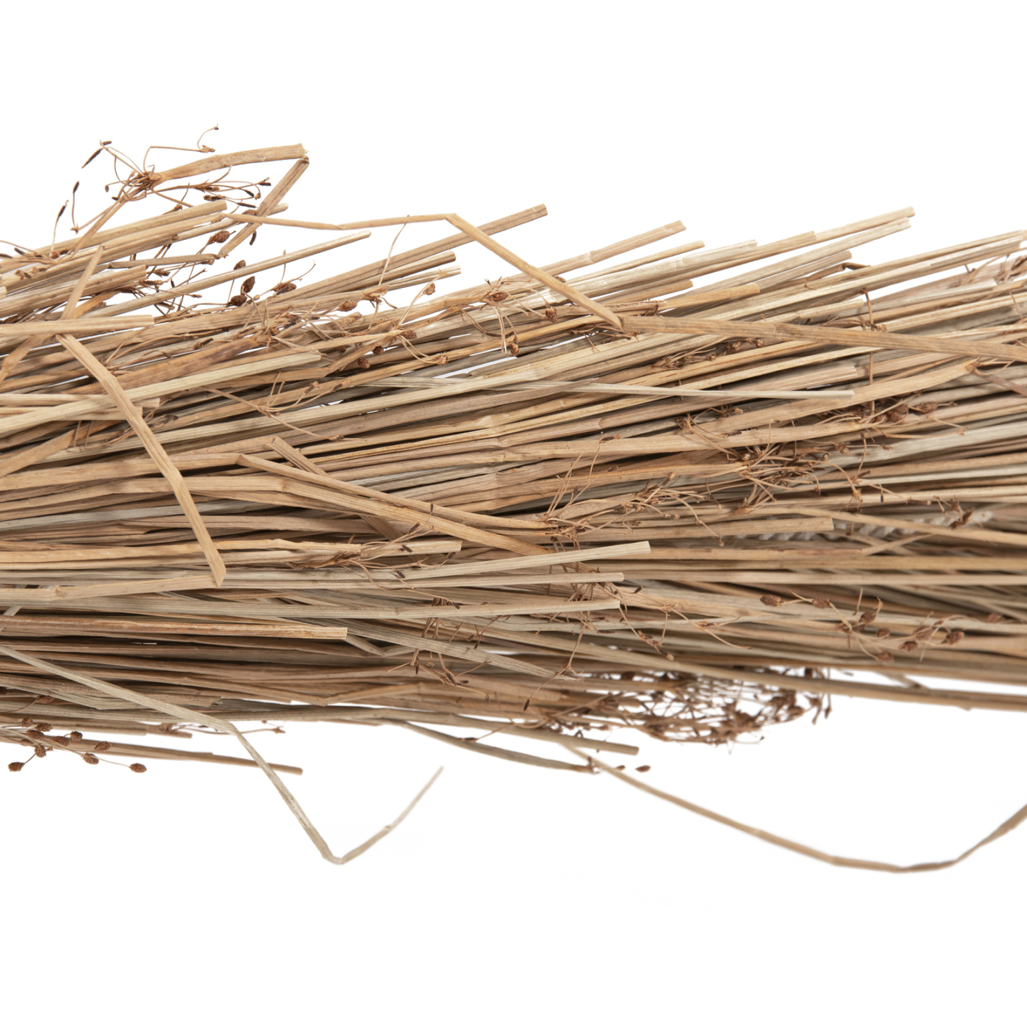 diakosmitiko-dentro-fb94322-tfoinika-apo-5