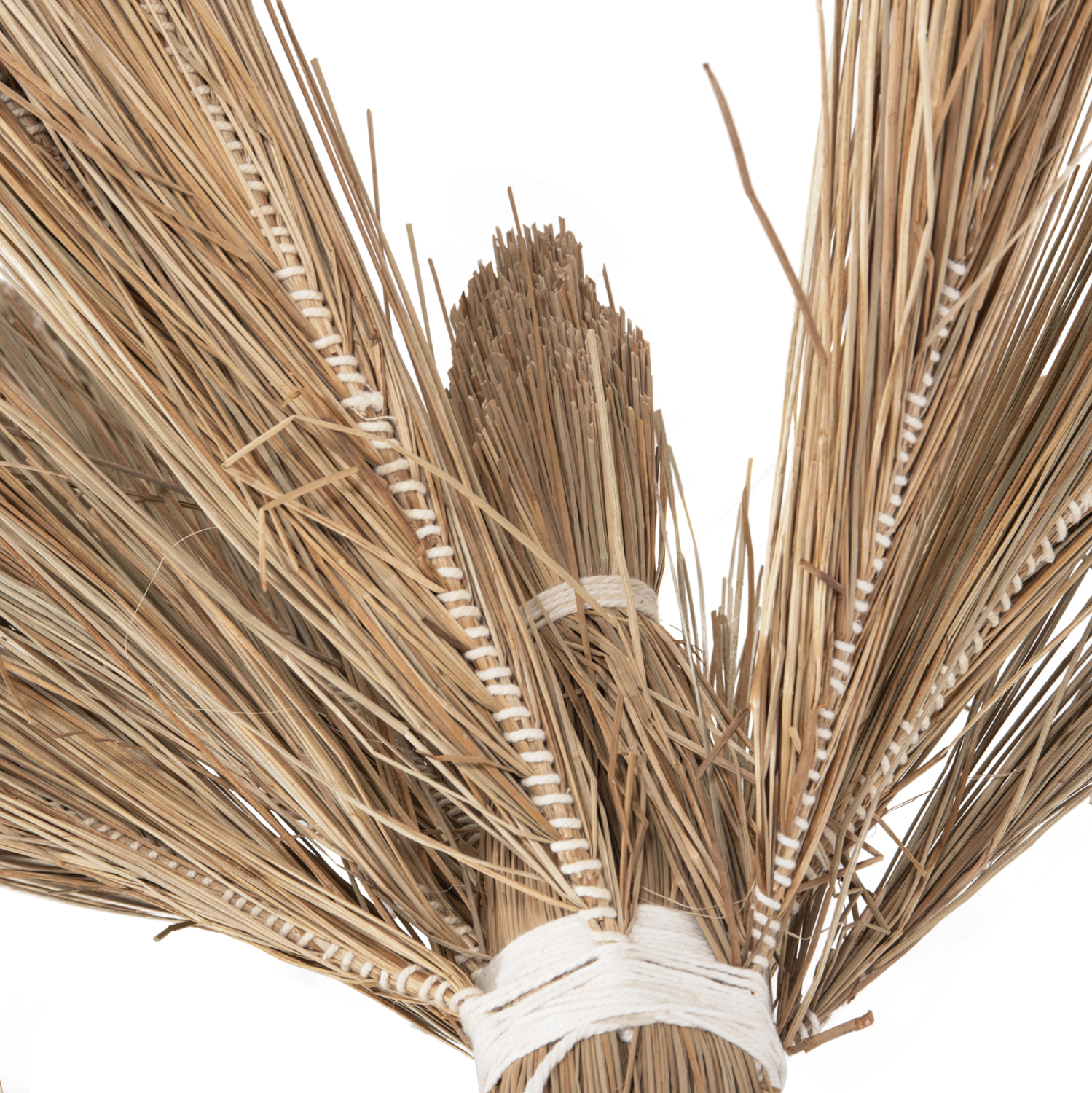 diakosmitiko-dentro-fb94322-tfoinika-apo-6