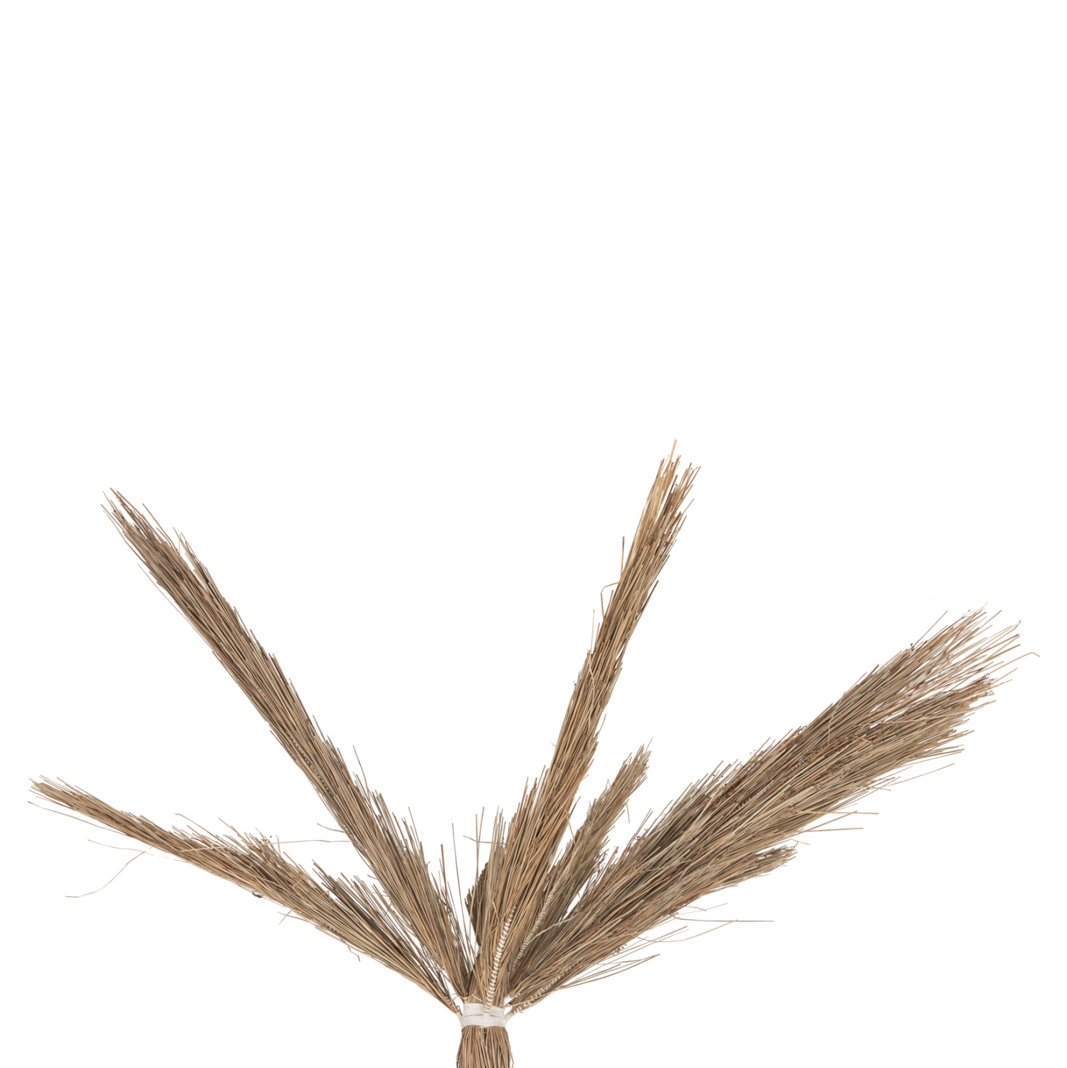 diakosmitiko-dentro-fb94323-tfoinika-apo-3