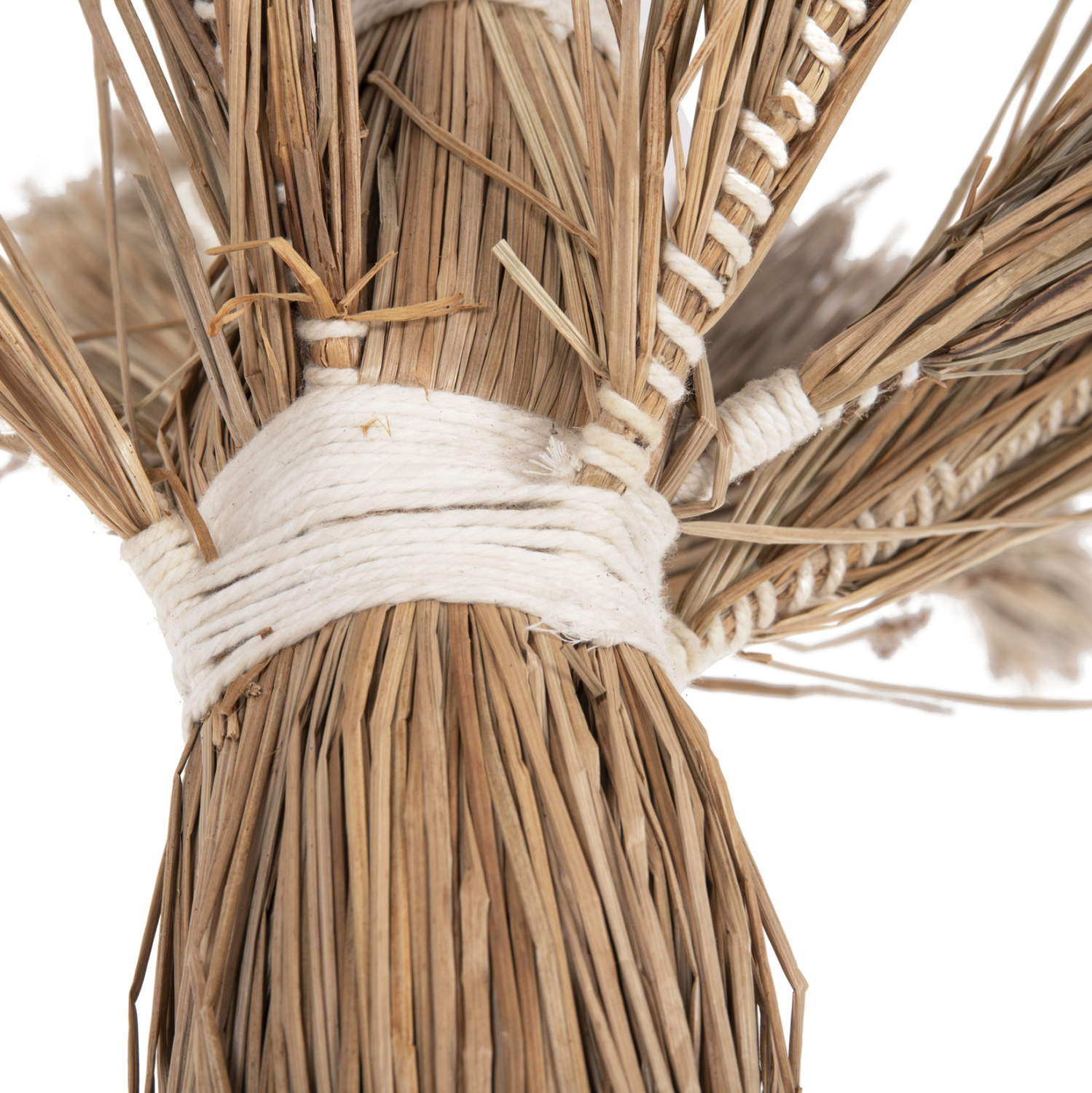 diakosmitiko-dentro-fb94323-tfoinika-apo-4