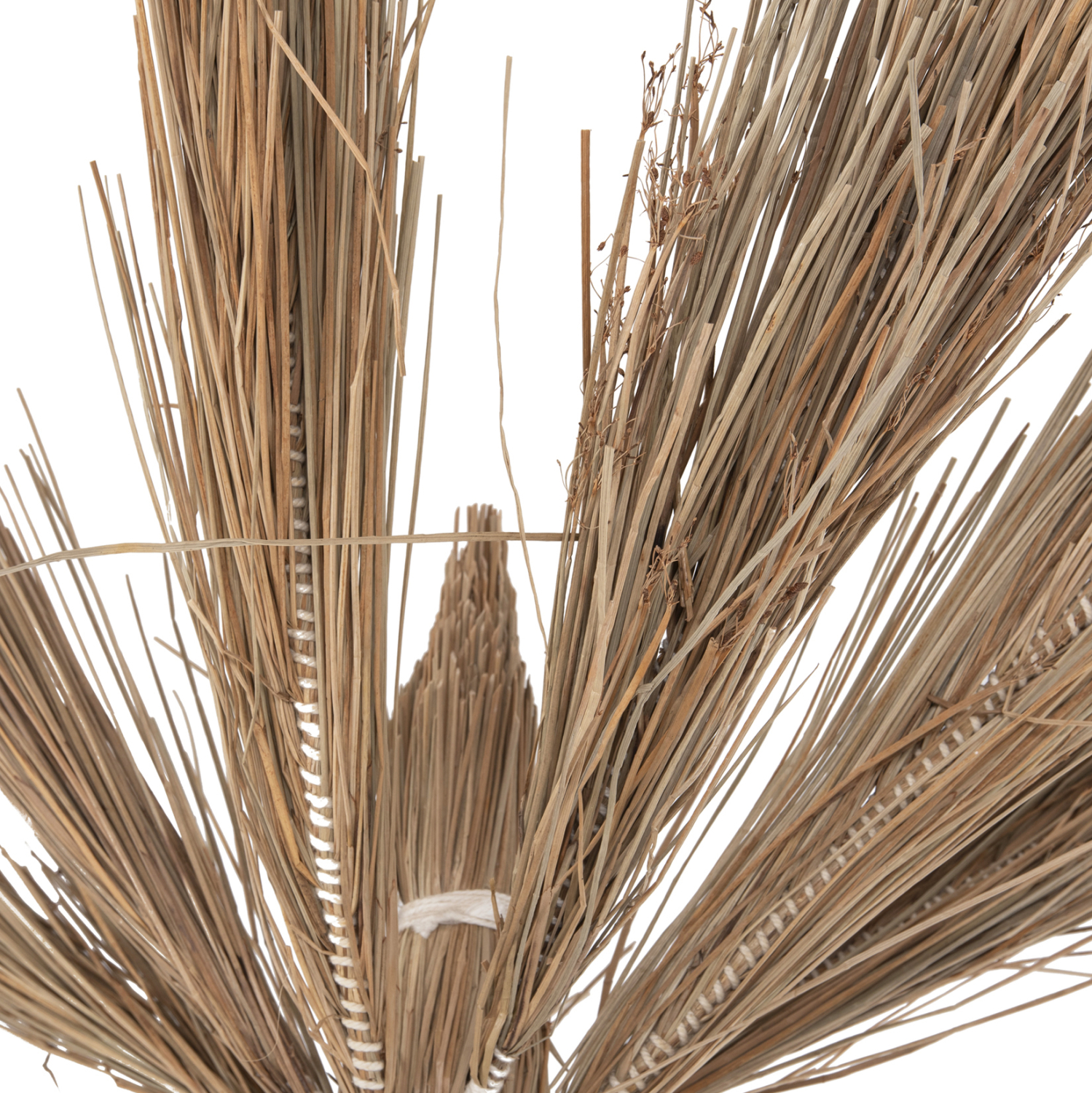 diakosmitiko-dentro-fb94323-tfoinika-apo-5