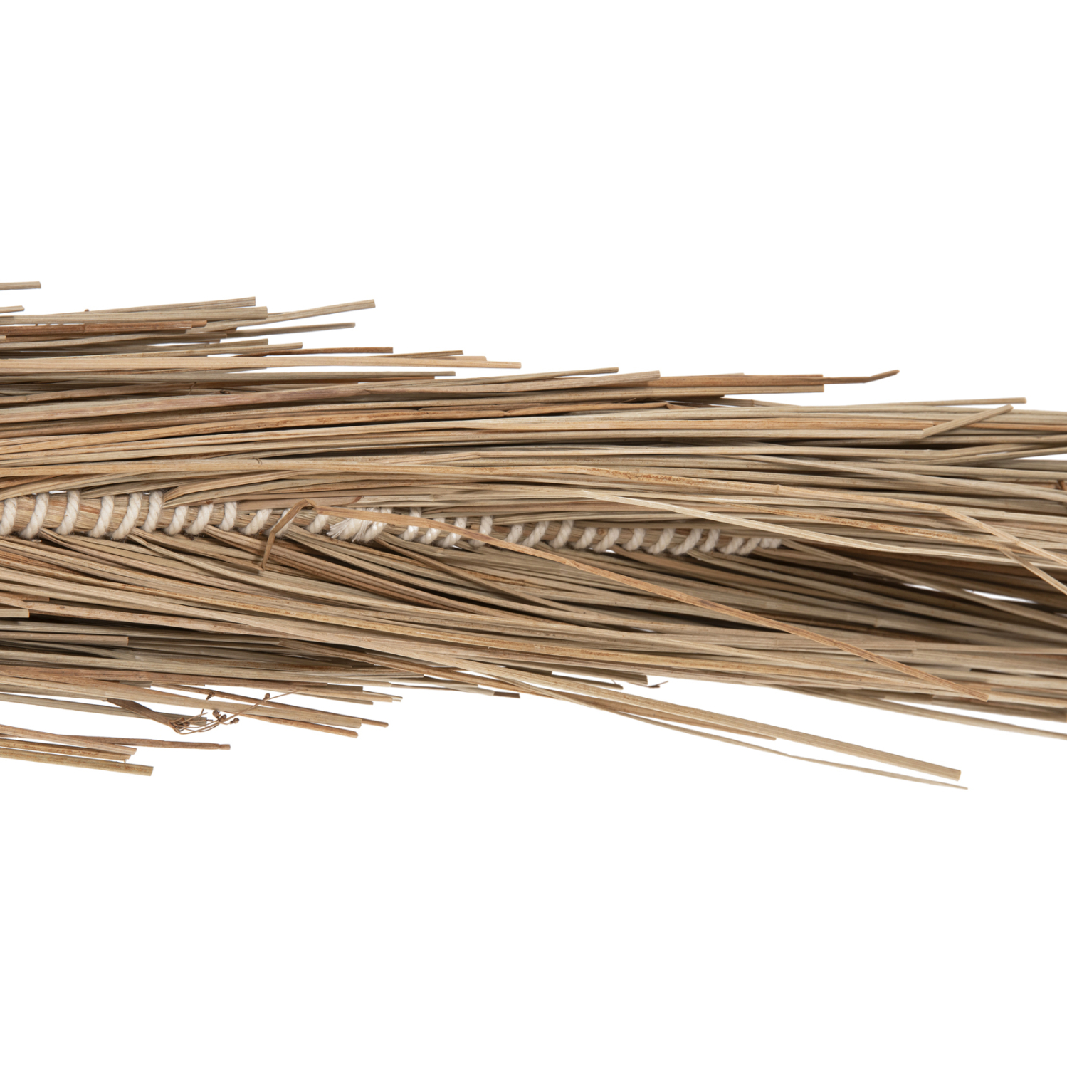 diakosmitiko-dentro-fb94323-tfoinika-apo-6