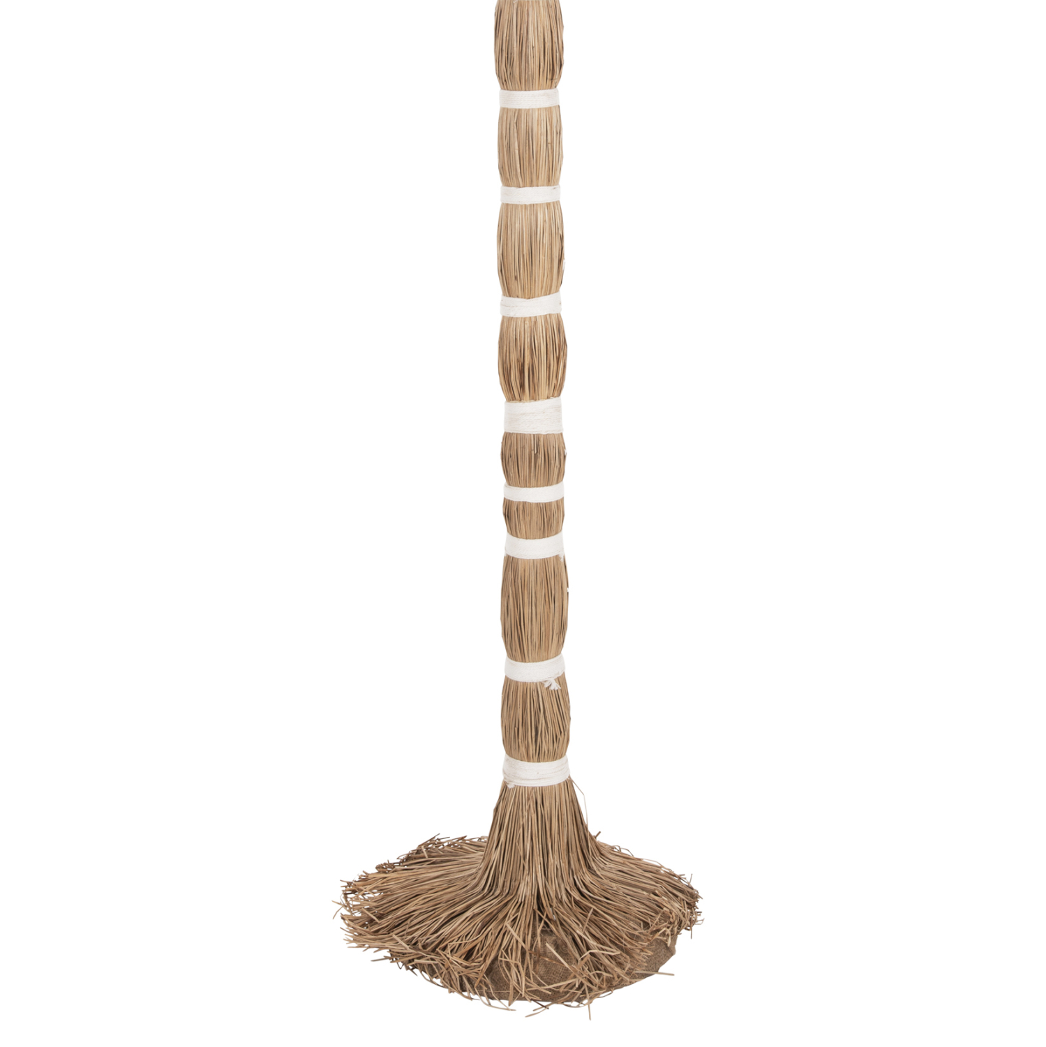 diakosmitiko-dentro-fb94323-tfoinika-apo-7