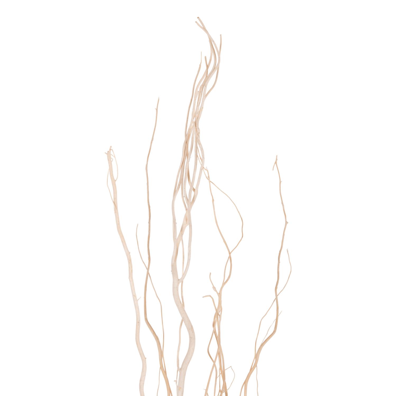 diakosmitiko-mpoyketo-5tmch-apoxiramenon-2