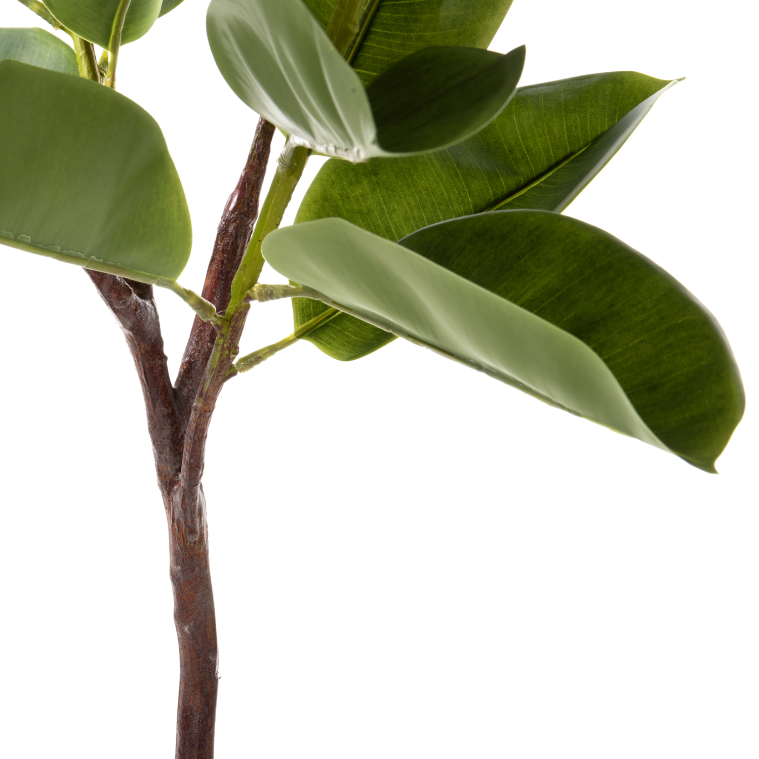 diakosmitiko-synthetiko-fyto-fb94000-dry-3