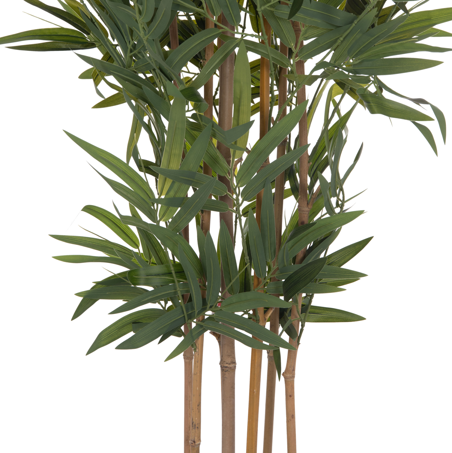 diakosmitiko-synthetiko-fyto-fb94737-bam-3