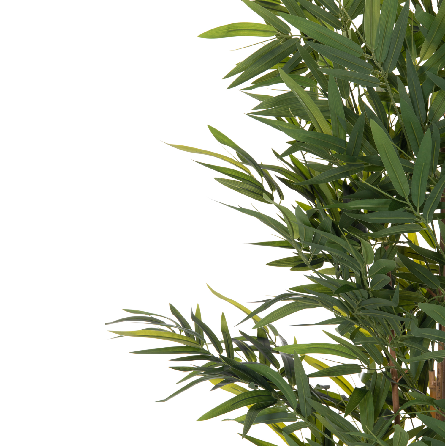 diakosmitiko-synthetiko-fyto-fb94737-bam-5