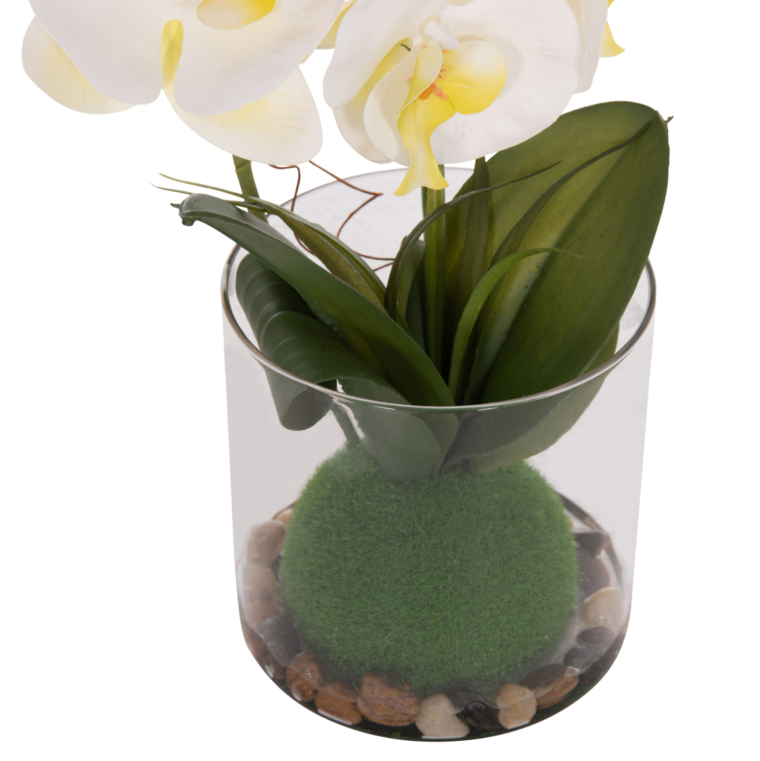 diakosmitiko-synthetiko-fyto-fb94738-loy-4