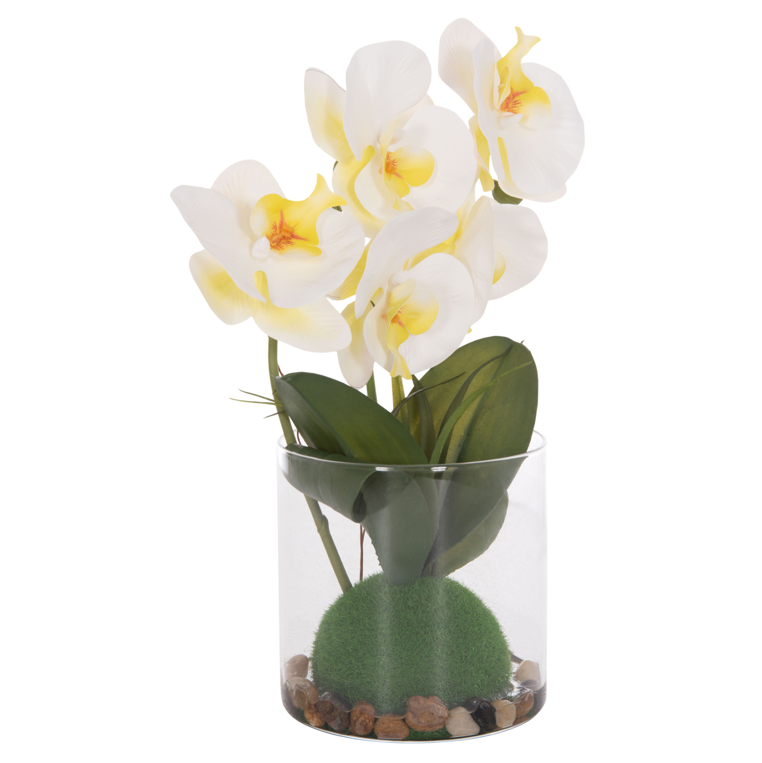 diakosmitiko-synthetiko-fyto-fb94738-loy-5