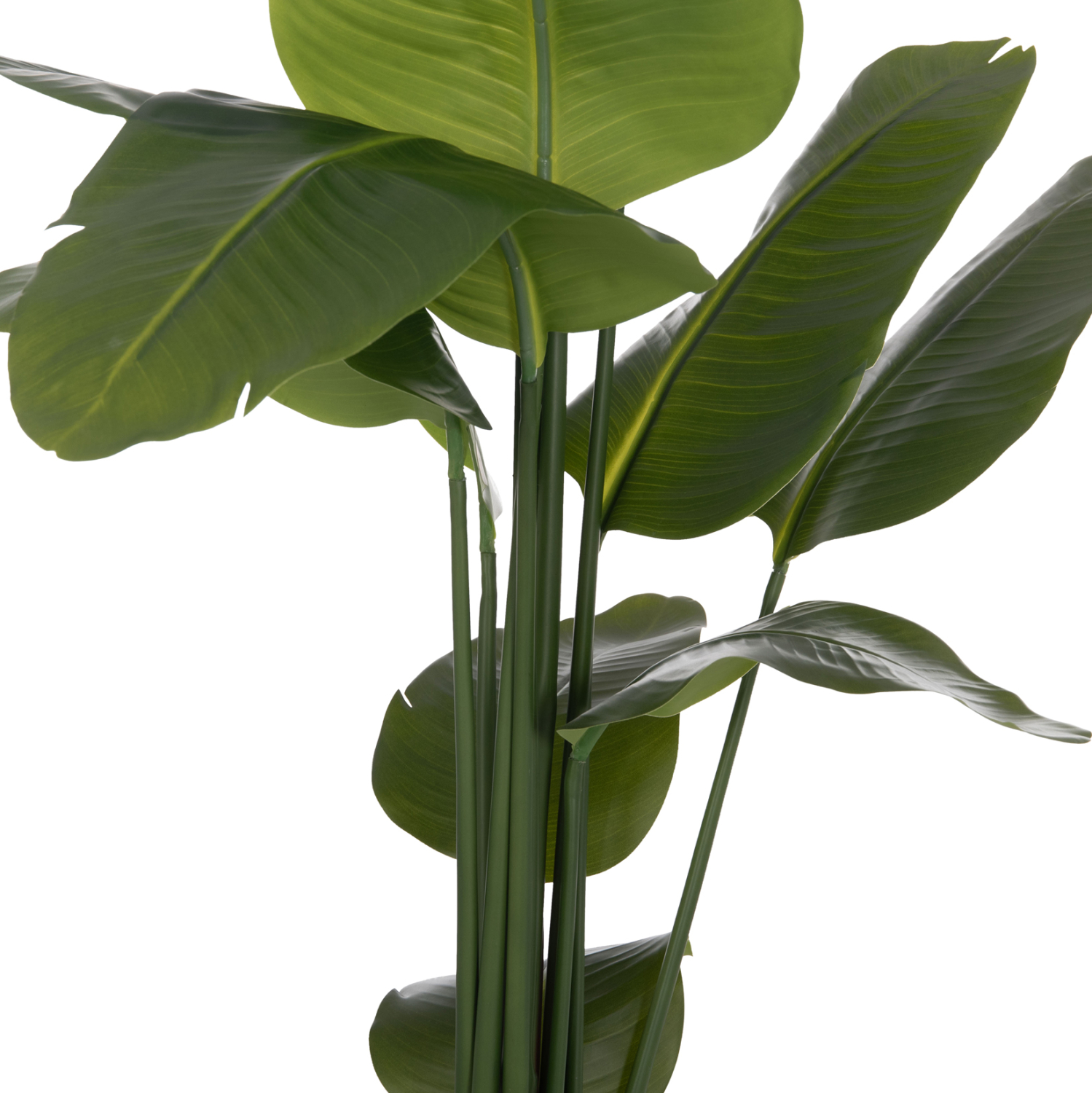 diakosmitiko-synthetiko-fyto-fb94739-str-7