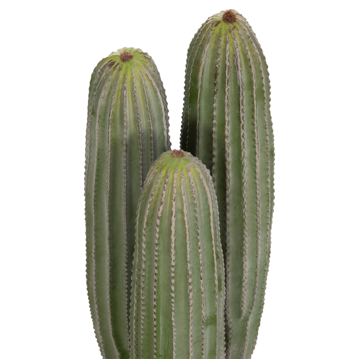 diakosmitiko-synthetiko-fyto-fb94743-kak-2