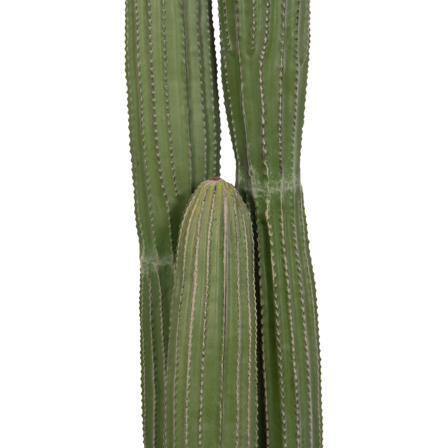 diakosmitiko-synthetiko-fyto-fb94744-kak-3