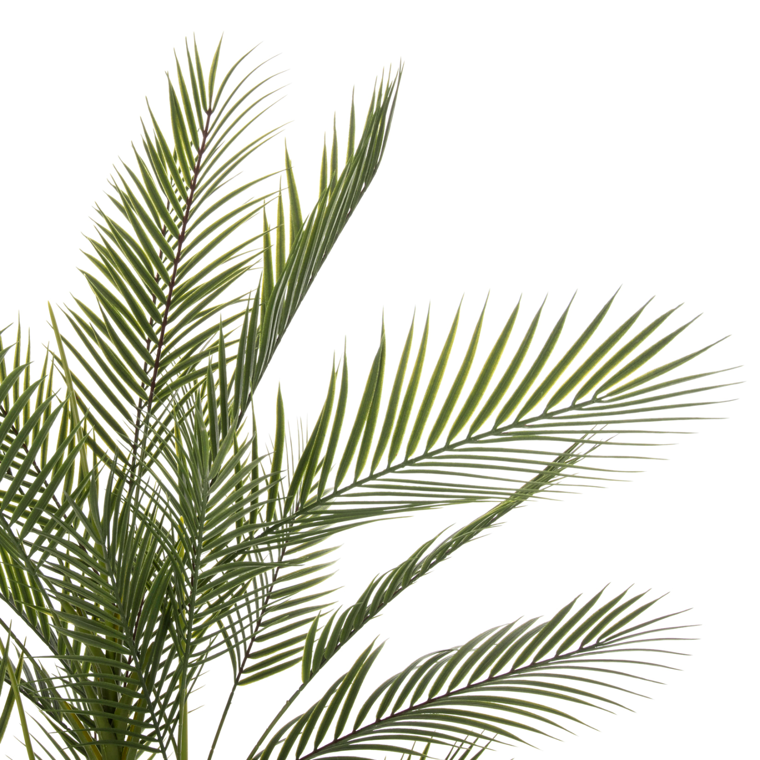 diakosmitiko-synthetiko-fyto-fb97970-kwa-2