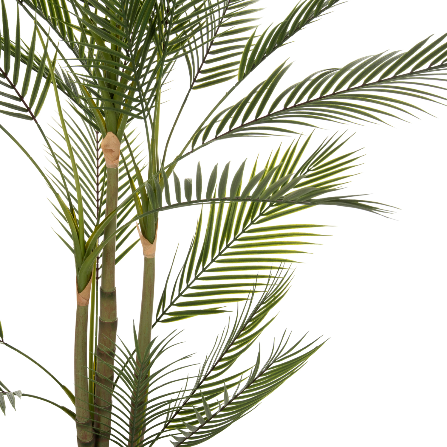 diakosmitiko-synthetiko-fyto-fb97970-kwa-3