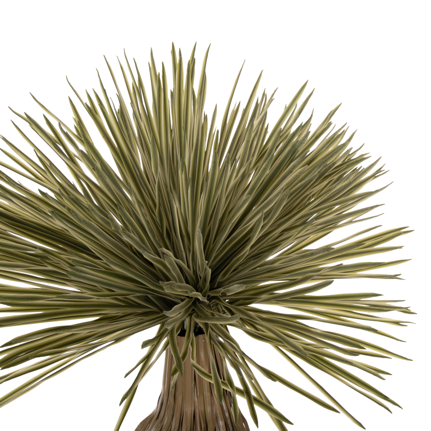 diakosmitiko-synthetiko-fyto-fb97973-sca-2