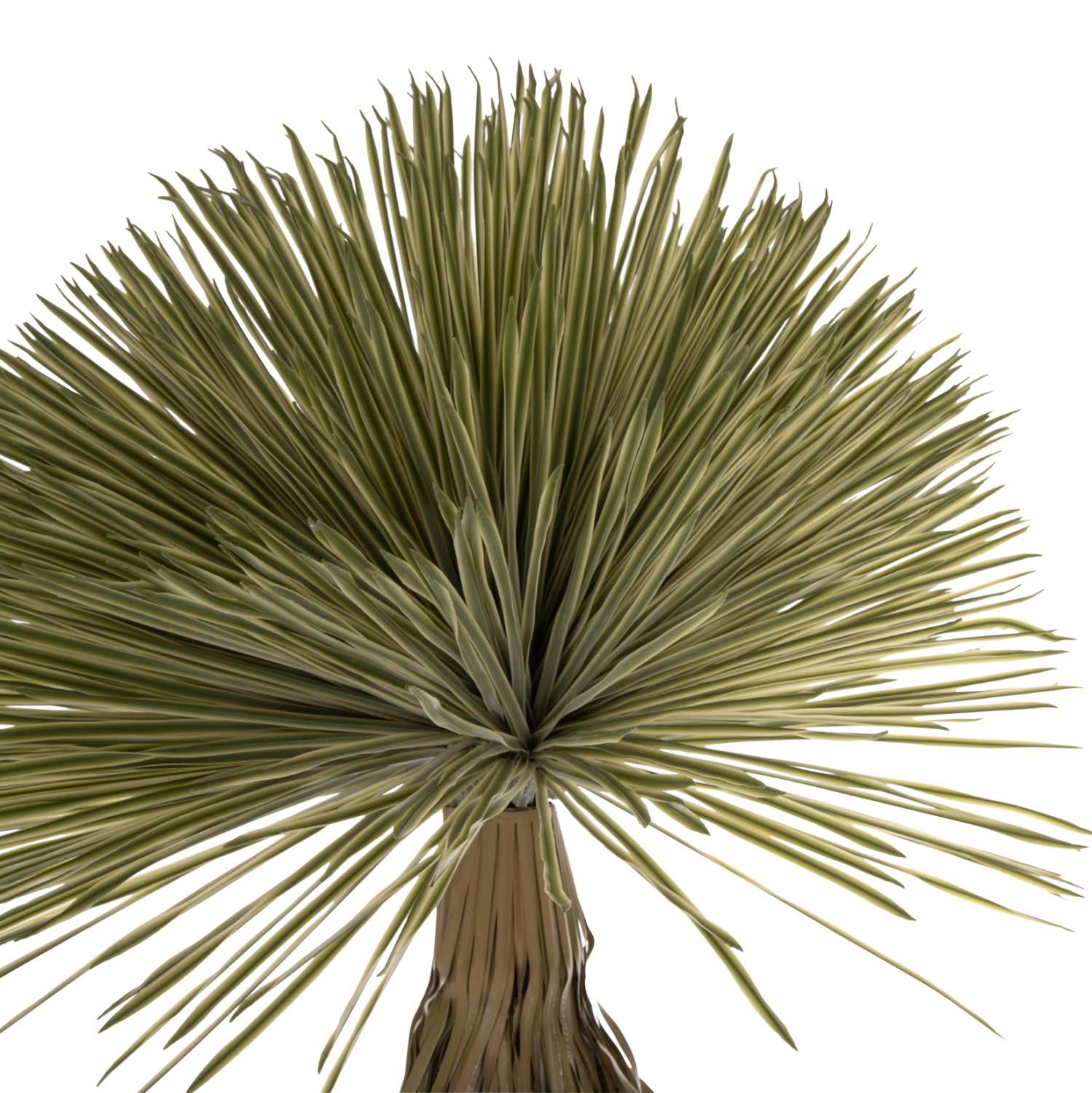 diakosmitiko-synthetiko-fyto-fb97974-sca-2