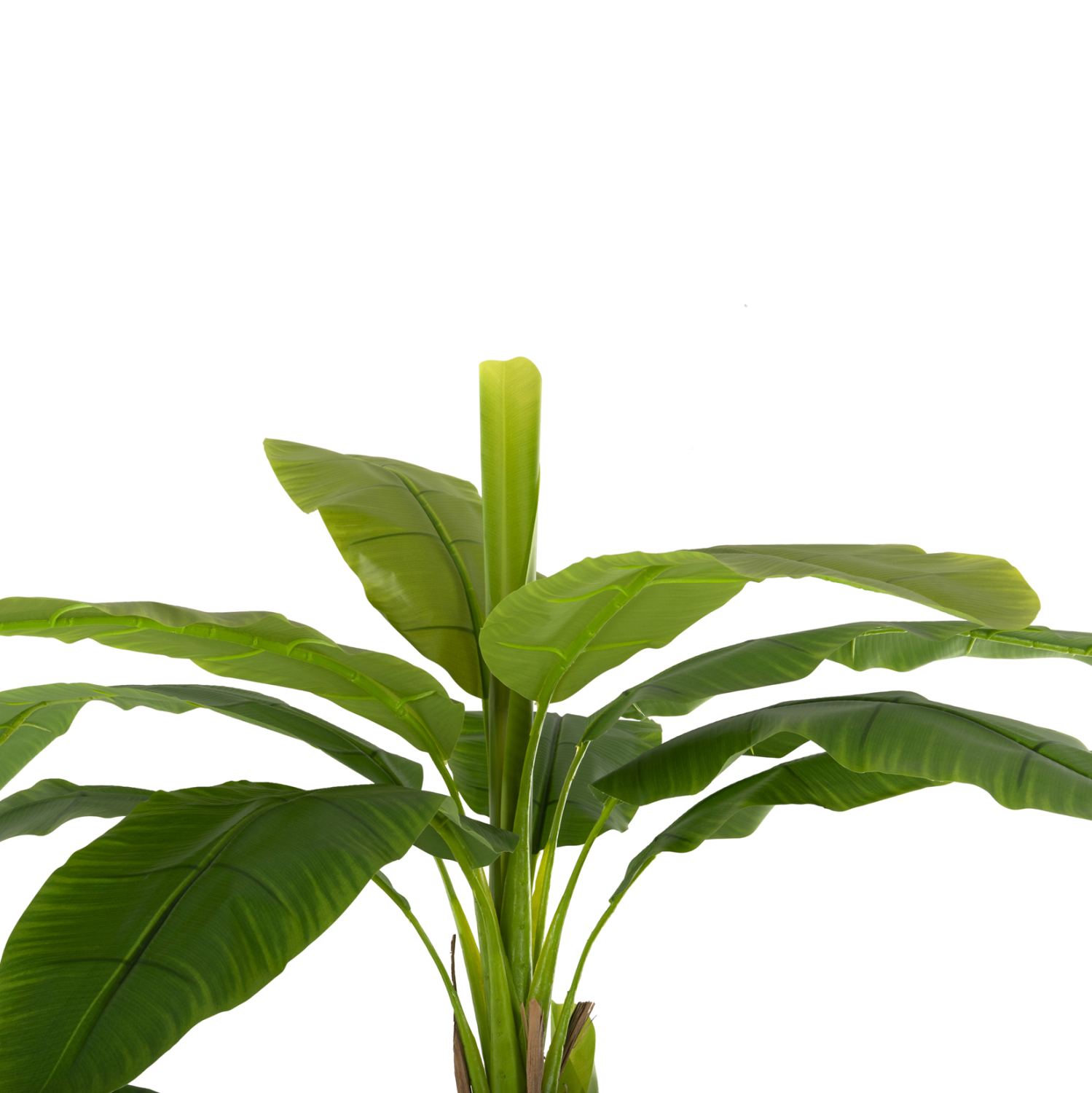 diakosmitiko-synthetiko-fyto-fb97978-den-3