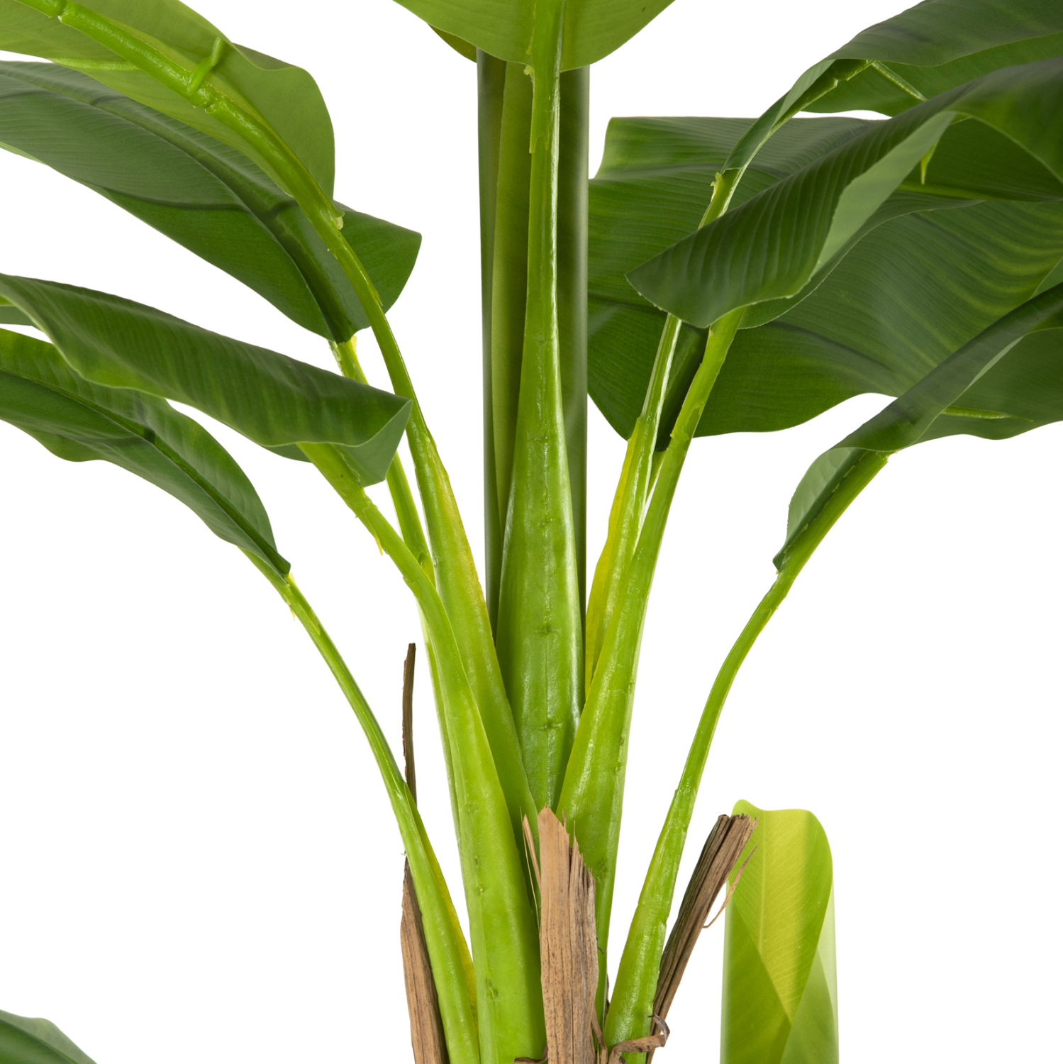 diakosmitiko-synthetiko-fyto-fb97978-den-4