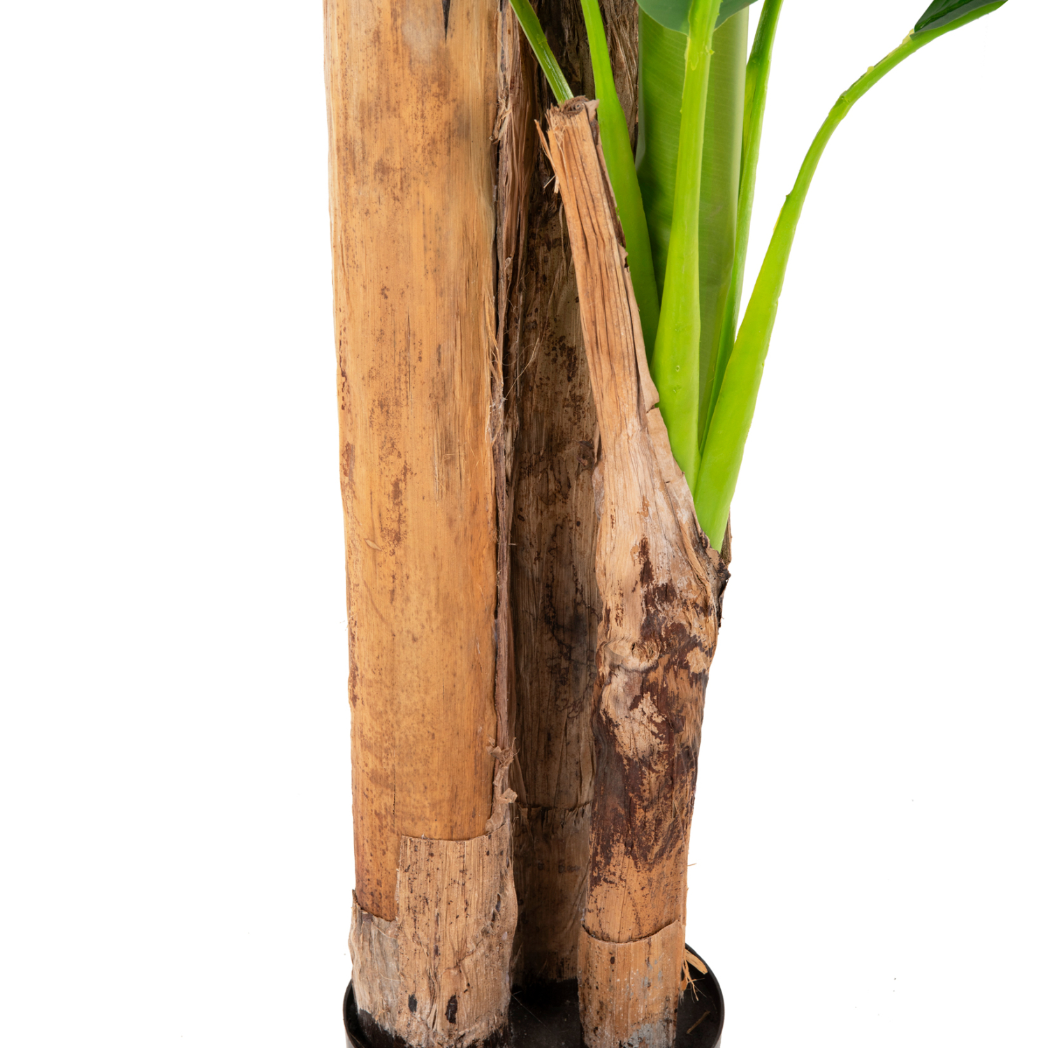 diakosmitiko-synthetiko-fyto-fb97978-den-5