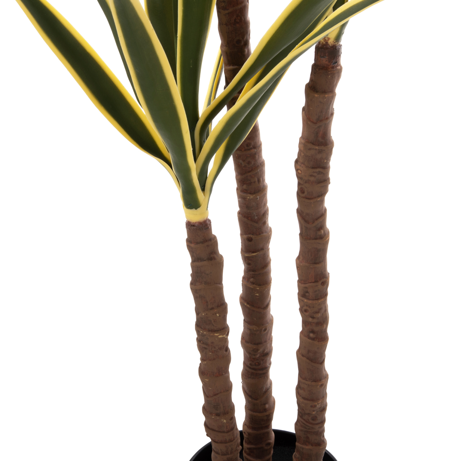 diakosmitiko-synthetiko-fyto-fb97984-foi-2