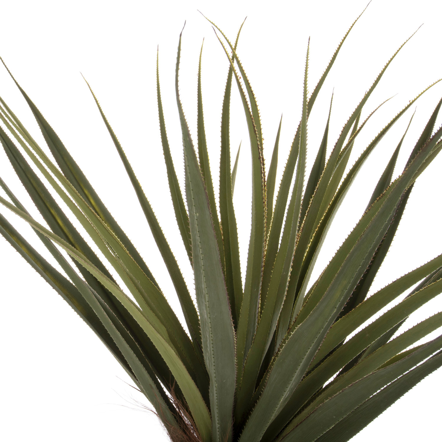 diakosmitiko-synthetiko-fyto-fb97989-den-2