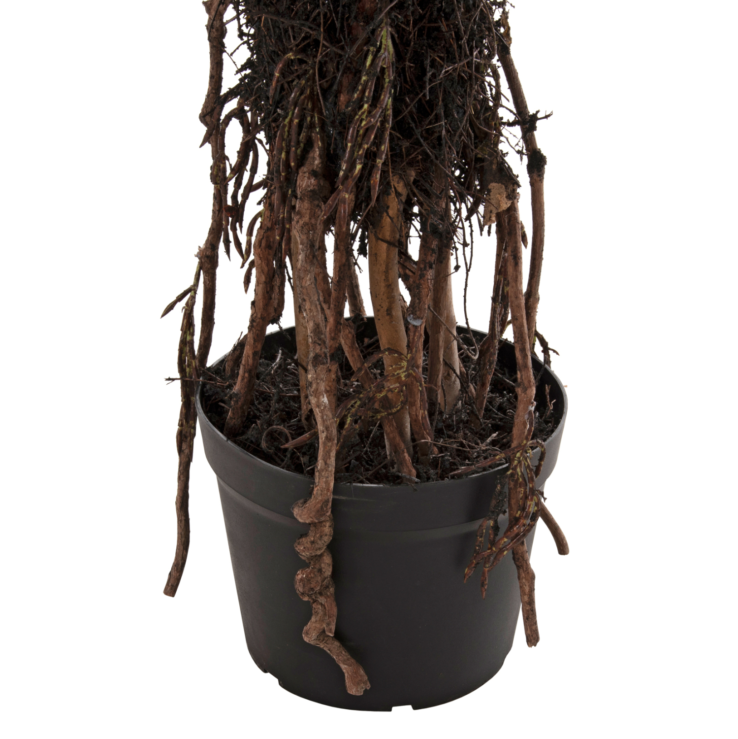 diakosmitiko-synthetiko-fyto-fb97989-den-4