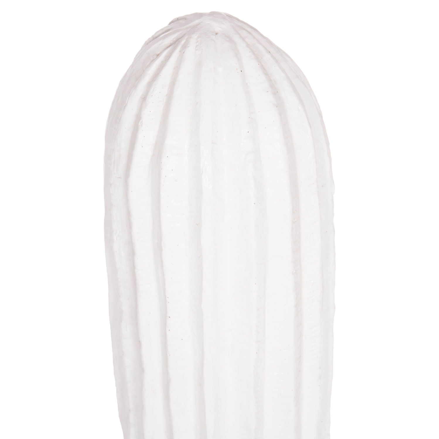 diakosmitikos-kaktos-dapedoy-fb9438602l-3