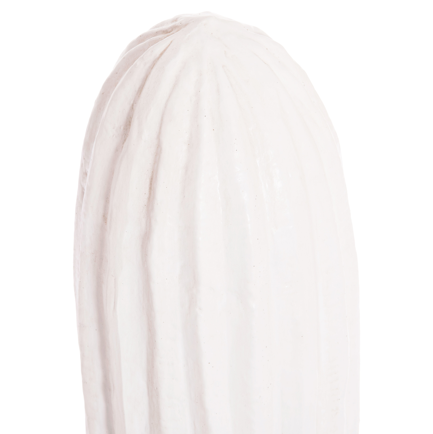 diakosmitikos-kaktos-dapedoy-fb9438602m-4