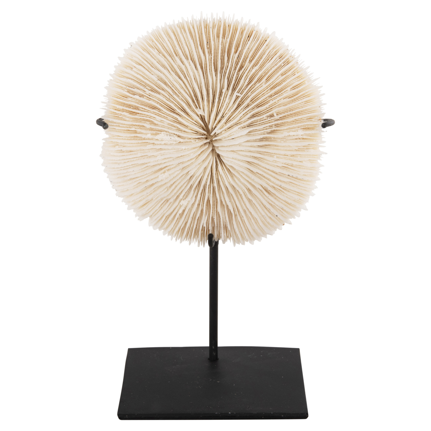 epitrapezio-diakosmitiko-fb94273-korali-