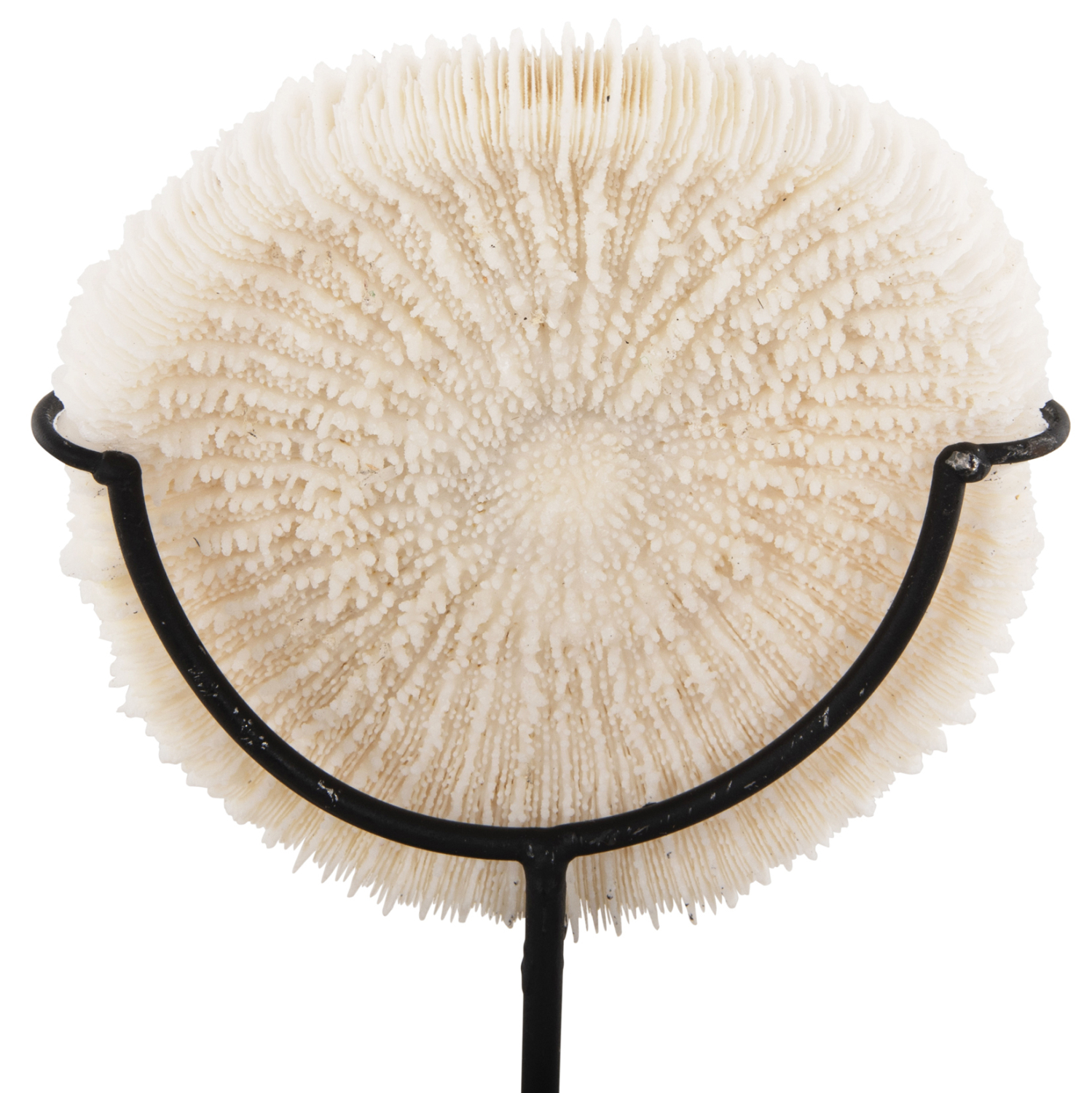 epitrapezio-diakosmitiko-fb94273-korali-3