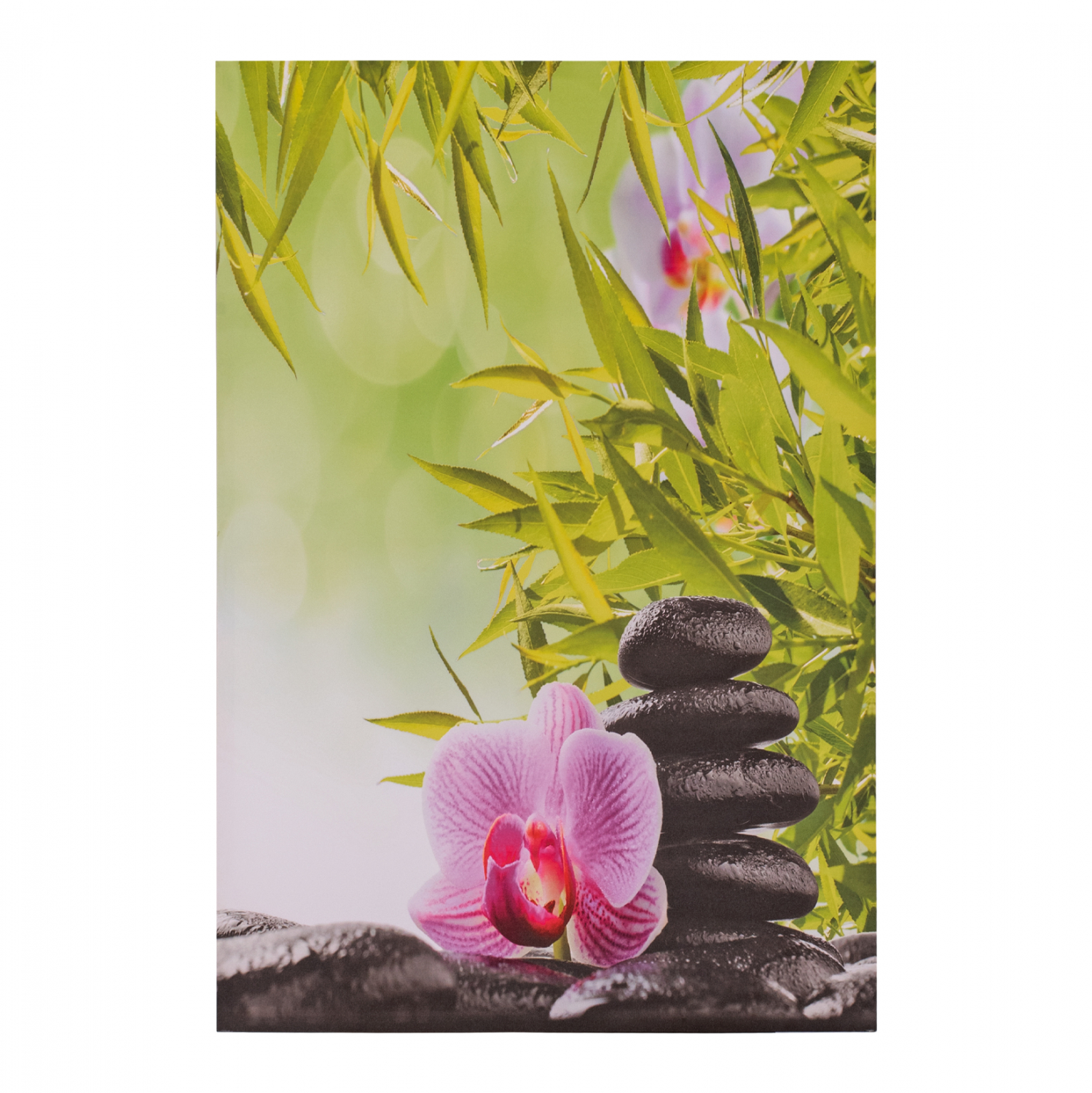 pinakas-kambas-flower-hm715408-60x90x25-