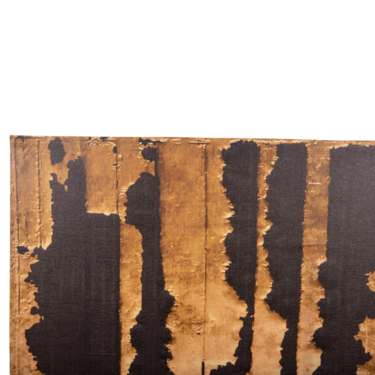 pinakas-toixoy-fb94782-ektypomenos-kamba-4