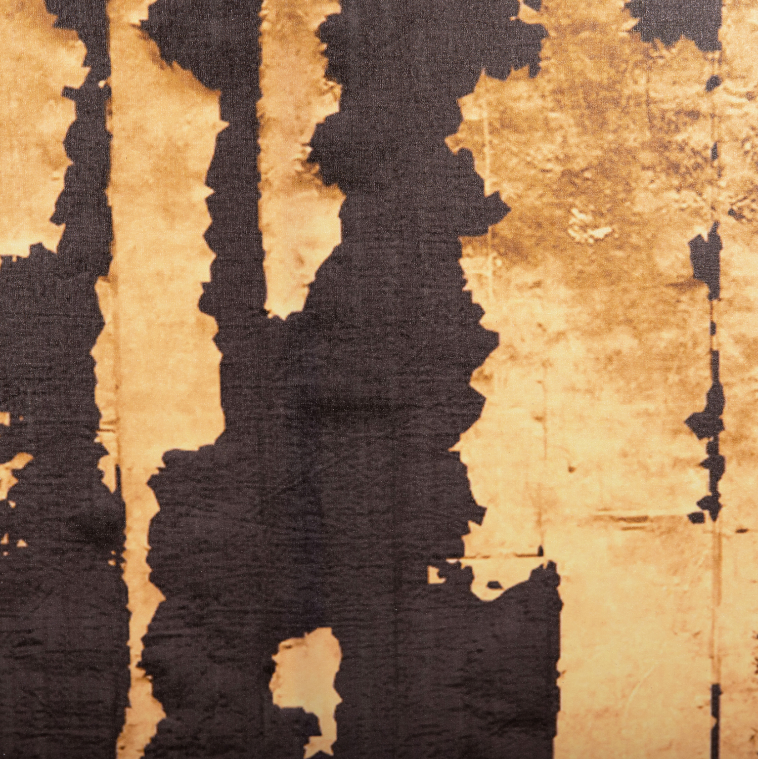 pinakas-toixoy-fb94782-ektypomenos-kamba-5