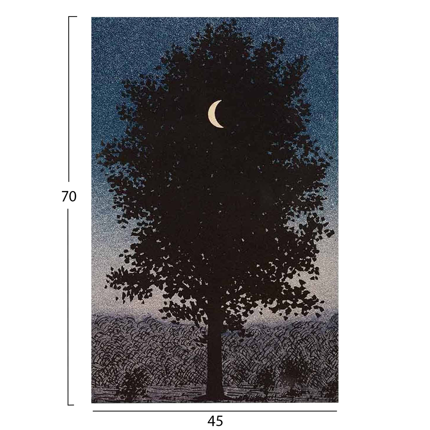 pinakas-toixoy-fb94850-ektypomenos-kamba-2