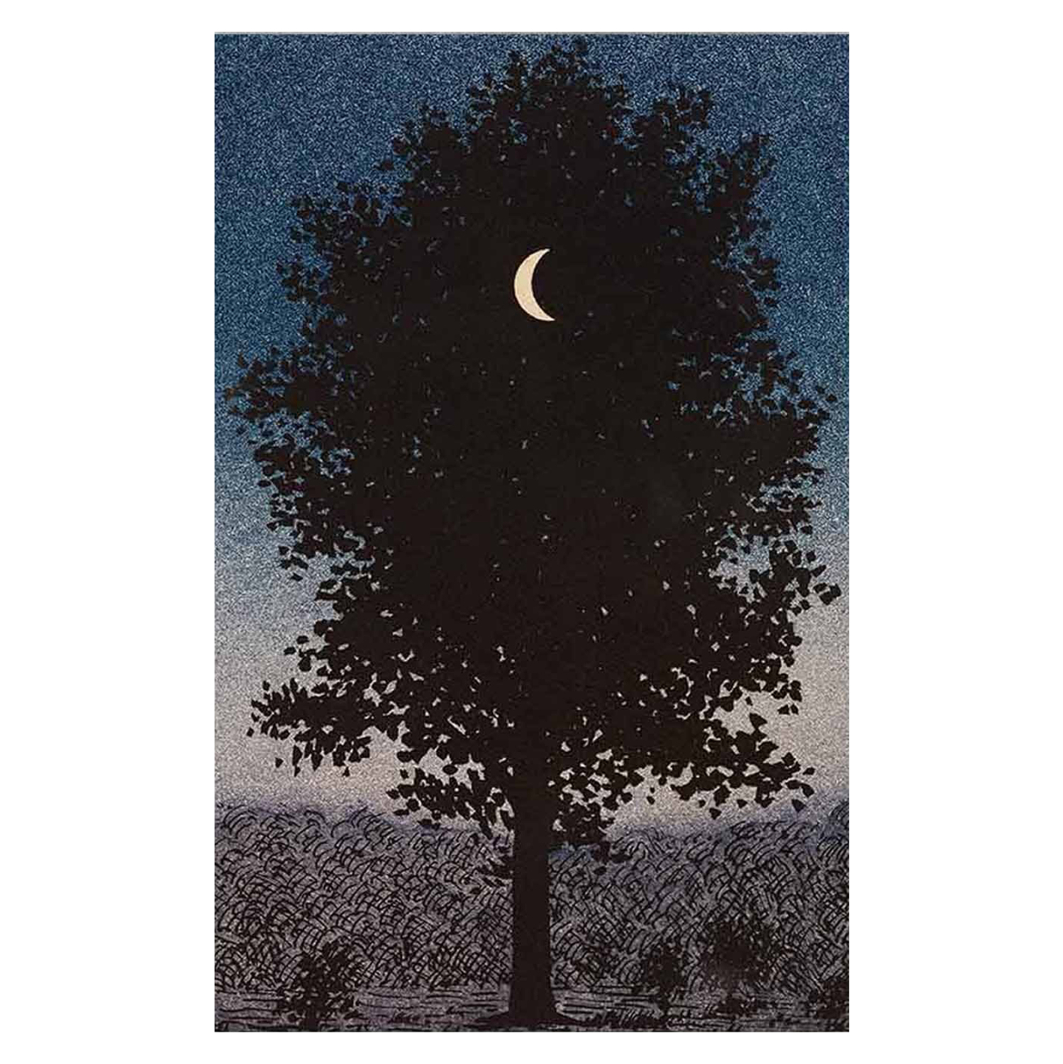 pinakas-toixoy-fb94850-ektypomenos-kamba