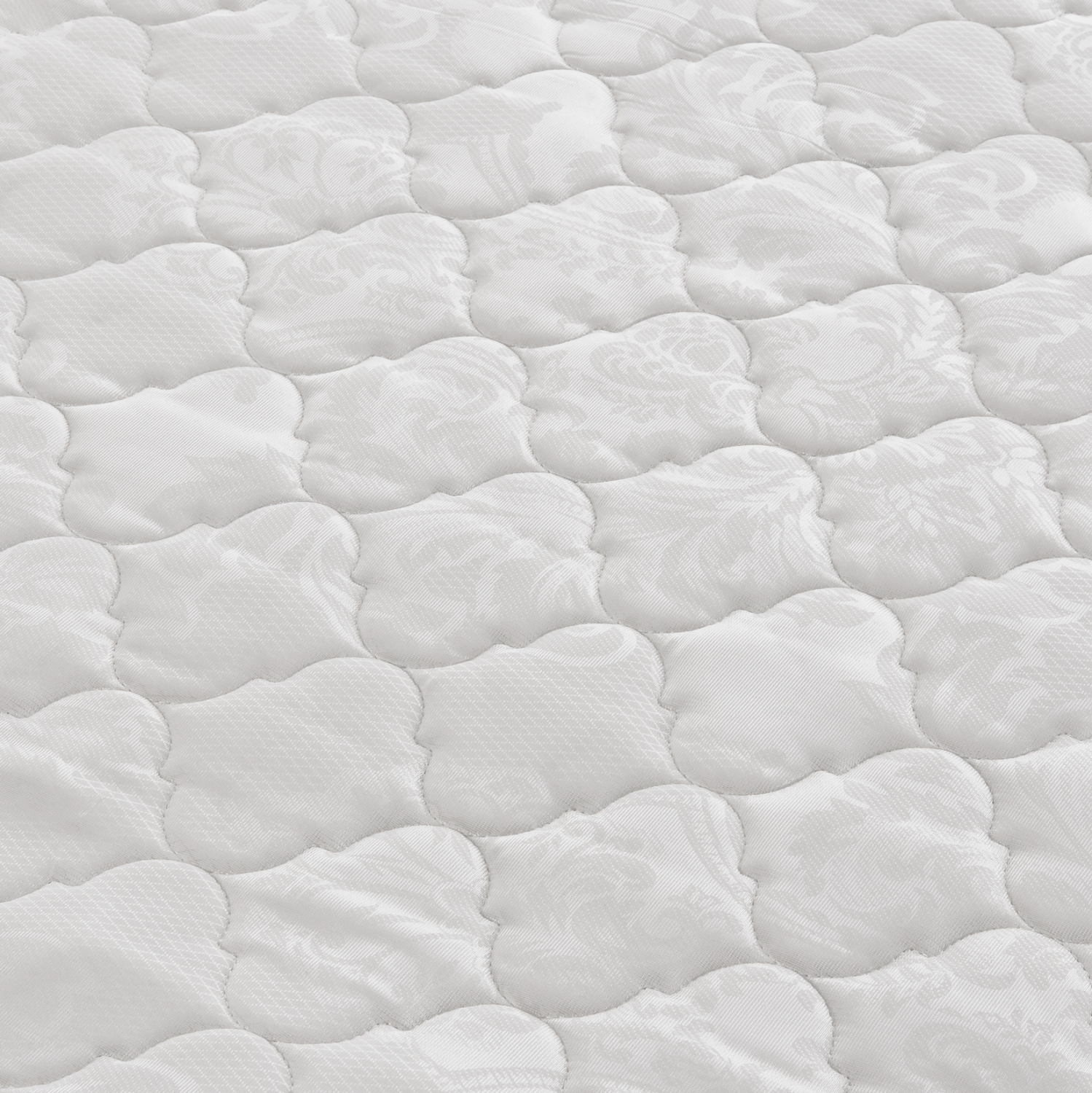 stroma-continuous-spring-monis-opsis-fb9-2