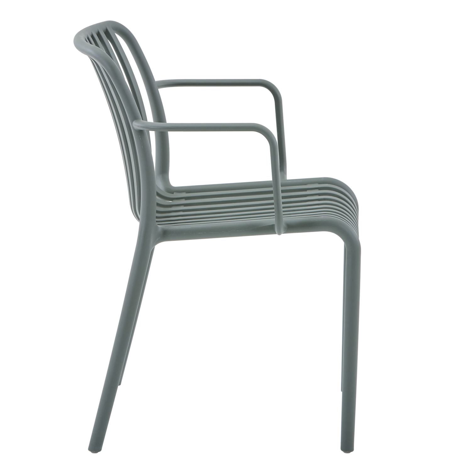 polythrona-exotchoroy-fb9610507-dark-oli-3