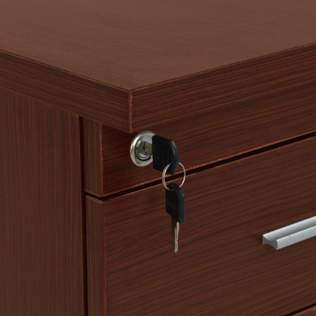 syrtariera-grafeioy-epaggelmatiki-wenge-5